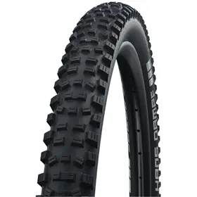 schwalbe-hans-dampf-evolution-