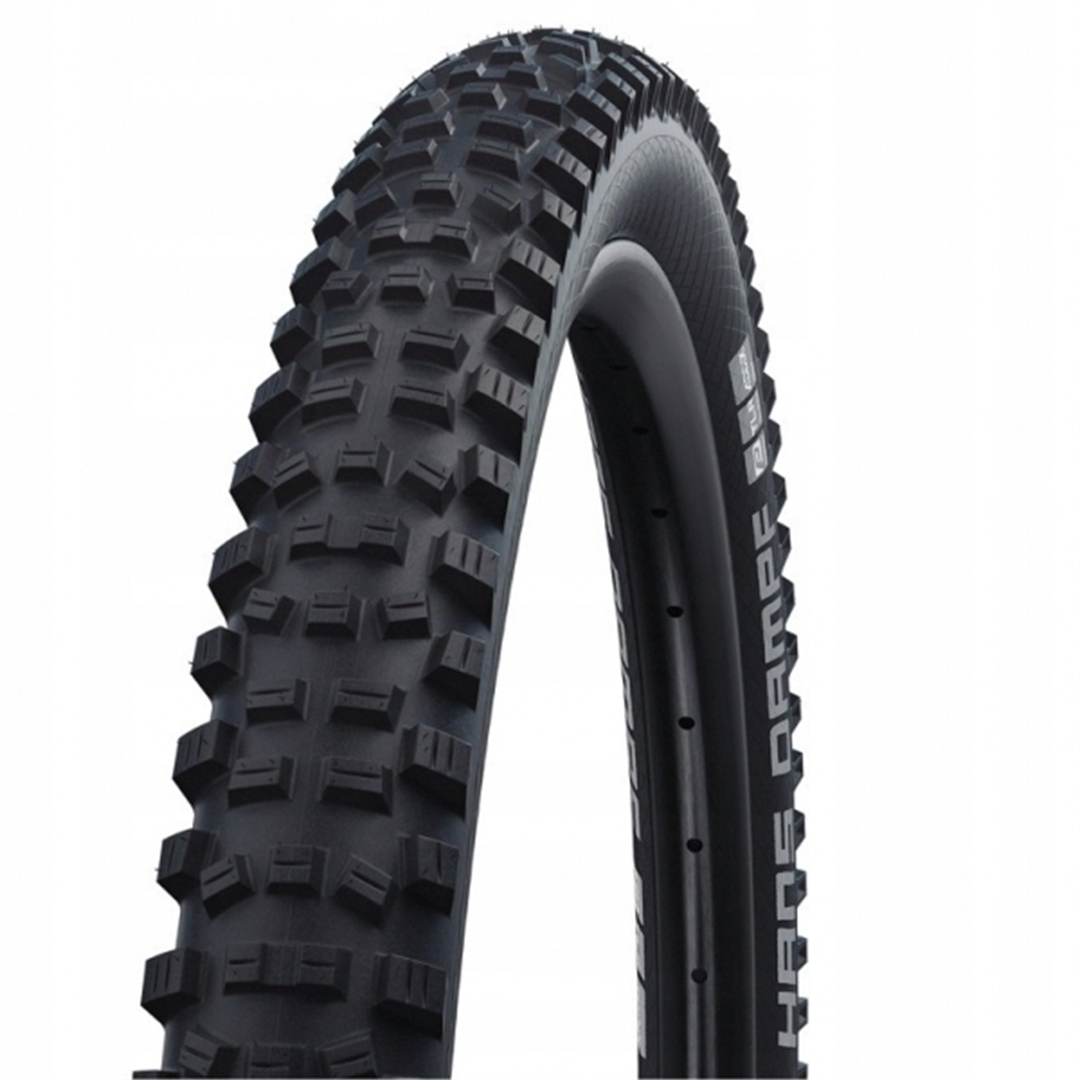 日本製 schwalbe-hans-dampf- パーツ