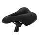 Rower elektryczny SIMPLON Chenoa 365 :E Essential+