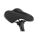 Rower elektryczny SIMPLON Chenoa 365 :E Premium+