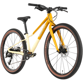 Rower dziecięcy SUPERIOR F.L.Y. 24 DB