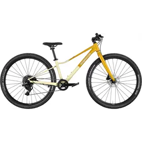 Rower młodzieżowy SUPERIOR F.L.Y. 27 Cues