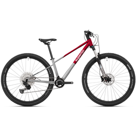 Rower młodzieżowy SUPERIOR Team 27.3 Cues