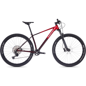 Rower MTB SUPERIOR XP 6.6