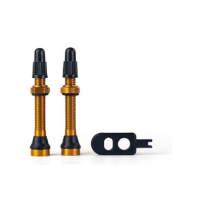 Zestaw wentyli presta TREZADO 