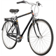 Rower miejski TUNTURI Akseli
