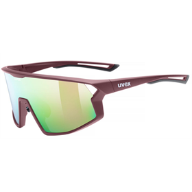 Okulary rowerowe UVEX Skyryse 