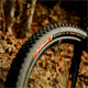Opona VITTORIA Barzo XC Trail UCI Edition
