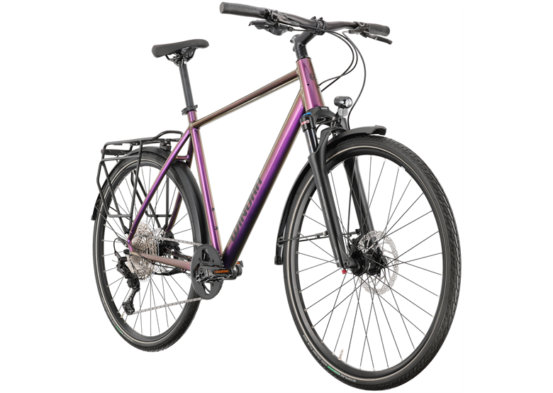 Rower trekkingowy WINORA Domingo 12 Pro