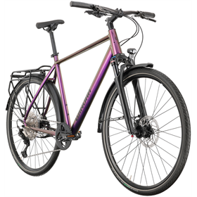 Rower trekkingowy WINORA Domingo 12 Pro