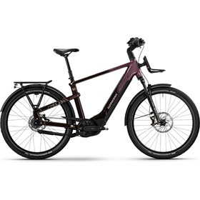 Rower elektryczny WINORA Yakun R5