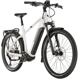 Rower elektryczny WINORA Yucatan X12 Pro