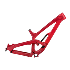 Rama MTB YT Tues CF MK3