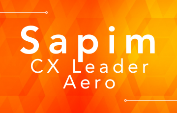 Sapim CX Leader Aero