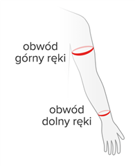 Rozmiar - Obwód dłoni, Obwód górny, Długość rękawka