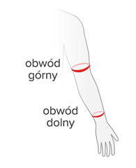 Rozmiar - Obwód górny