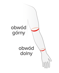 Rozmiar - Obwód górny, Obwód dolny, Długość rękawka