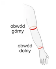 Rozmiar - Obwód górny, Obwód dolny, Długość rękawka