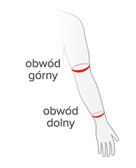 Rozmiar - Obwód górny, Długość rękawka