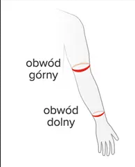 Rozmiar - Długość całkowita, Obwód górny