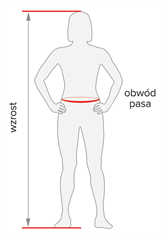Rozmiar - Wzrost, Obwód pasa